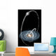 Three Newly-discovered Streams Arcing Wall Decal