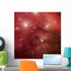 Seven Sisters Also Known Wall Decal
