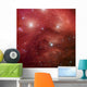 Seven Sisters Also Known Wall Decal