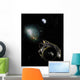 Earth Milky Way Object Wall Decal