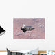 Space Shuttle Endeavour Wall Decal Design 9