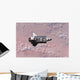Space Shuttle Endeavour Wall Decal Design 9