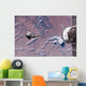 Space Shuttle Endeavour Wall Decal Design 10
