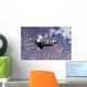 Space Shuttle Endeavour Wall Decal Design 11