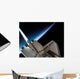 Space Shuttle Endeavour Backdropped Wall Decal Design 1