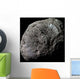 False-color Saturn's Moon Hyperion Wall Decal
