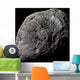 False-color Saturn's Moon Hyperion Wall Decal