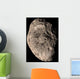 True Color Mosaic Saturn's Wall Decal