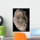True Color Mosaic Saturn's Wall Decal