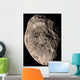 True Color Mosaic Saturn's Wall Decal