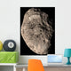 True Color Mosaic Saturn's Wall Decal