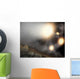 Night Sky as Seen Wall Decal