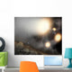 Night Sky as Seen Wall Decal