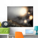 Night Sky as Seen Wall Decal