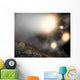 Night Sky as Seen Wall Decal