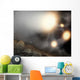 Night Sky as Seen Wall Decal
