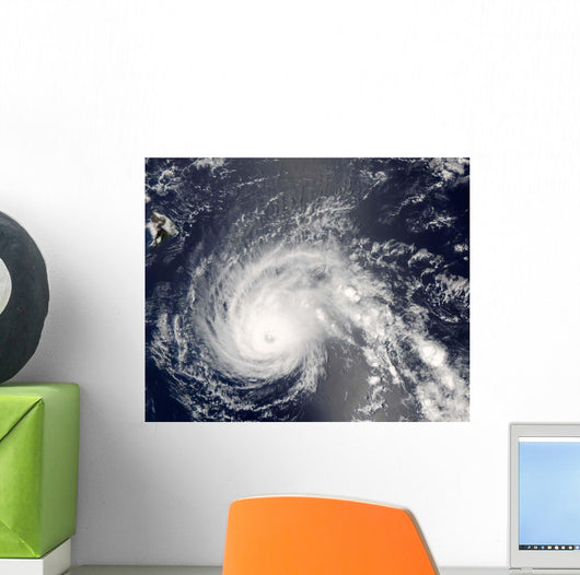 Hurricane Flossie Wall Decal