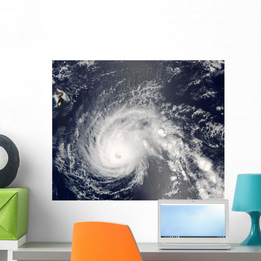 Hurricane Flossie Wall Decal