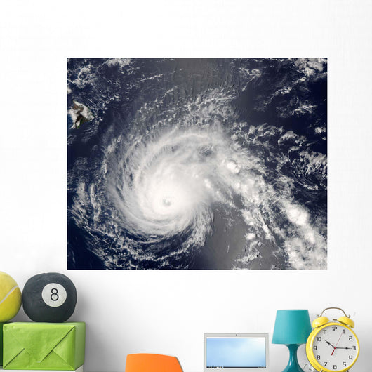 Hurricane Flossie Wall Decal