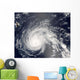 Hurricane Flossie Wall Decal