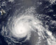 Hurricane Flossie Wall Decal