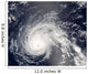 Hurricane Flossie Wall Decal