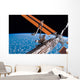 Canadarm2 and Solar Array Wall Decal