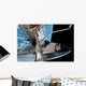 Space Shuttle Endeavour Wall Decal Design 14