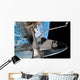 Space Shuttle Endeavour Wall Decal Design 14