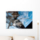 Space Shuttle Endeavour Docked Wall Decal Design 2