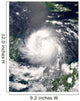 Hurricane Felix Wall Decal Design 2