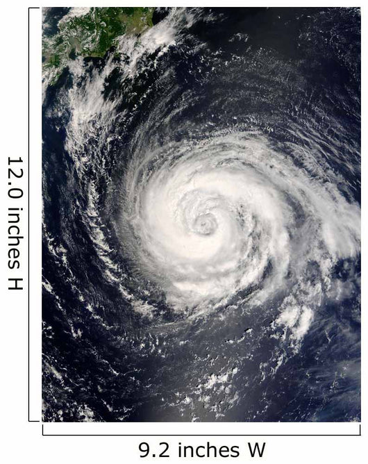 Typhoon Fitow Wall Decal