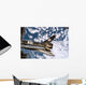 Space Shuttle Discovery Wall Decal Design 6