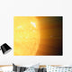 Relative Sizes Sun and Wall Decal