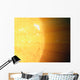 Relative Sizes Sun and Wall Decal