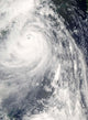 Super Typhoon Wipha Wall Decal