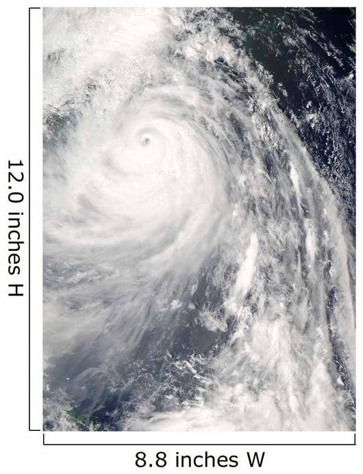 Super Typhoon Wipha Wall Decal