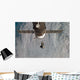 Space Shuttle Discovery with Wall Decal