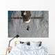 Space Shuttle Discovery with Wall Decal