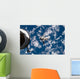 Space Shuttle Discovery Backdropped Wall Decal Design 2