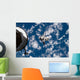 Space Shuttle Discovery Backdropped Wall Decal Design 2