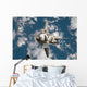 Space Shuttle Discovery Wall Decal Design 7
