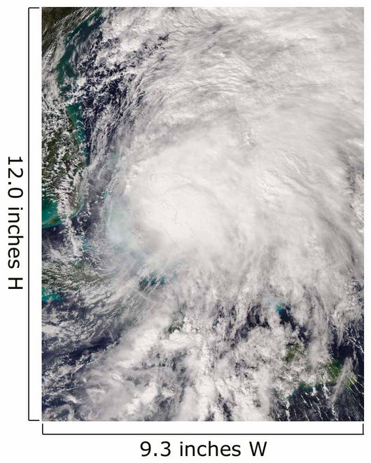 Tropical Storm Noel over Wall Decal Design 2