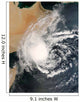 Unnamed Tropical Cyclone Approaching Wall Decal