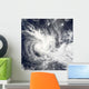 Tropical Cyclone Daman over Wall Decal