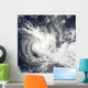 Tropical Cyclone Daman over Wall Decal