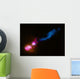 Powerful Jet from Supermassive Wall Decal