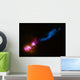 Powerful Jet from Supermassive Wall Decal