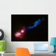 Powerful Jet from Supermassive Wall Decal