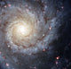 Spiral Galaxy M74 Wall Decal